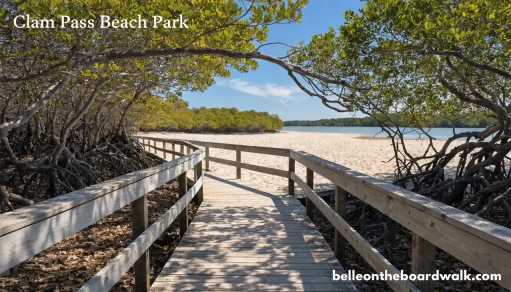 Clam Pass Beach Park — The Mangrove Walk Reveal