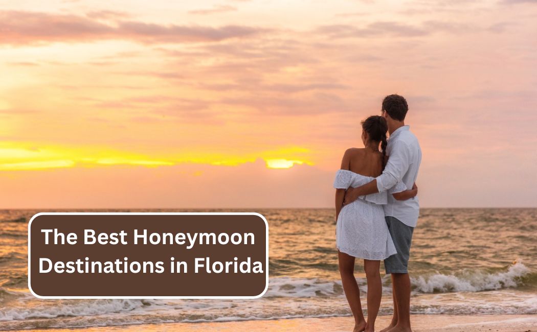 Honeymoon in Florida Guide
