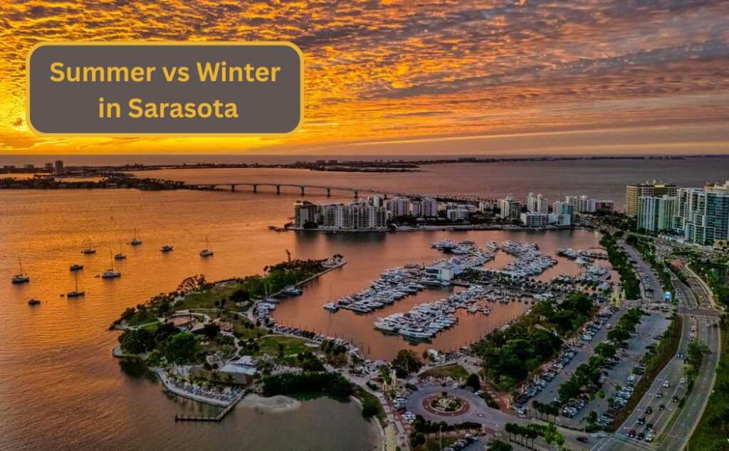 Summer vs Winter in Sarasota