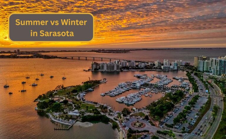 Summer vs Winter in Sarasota