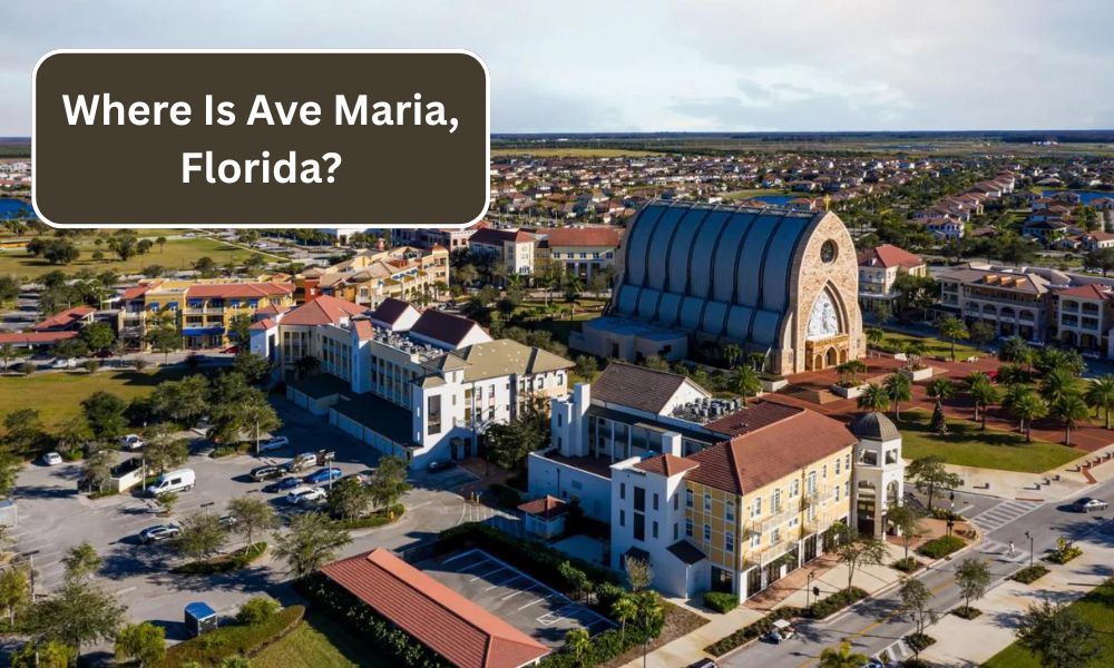 Where Is Ave Maria, Florida?