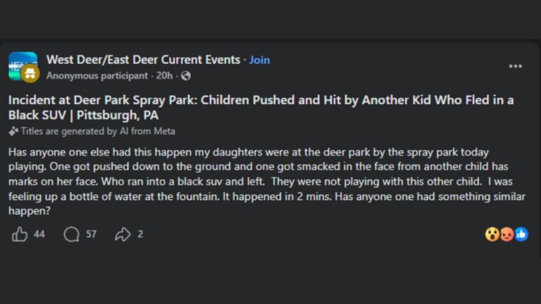 Deer Park spray park children pushed
