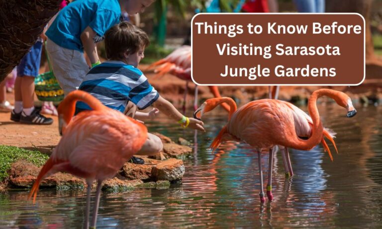 Sarasota Jungle Gardens