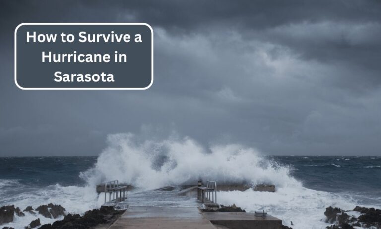 How to Survive a Hurricane in Sarasota