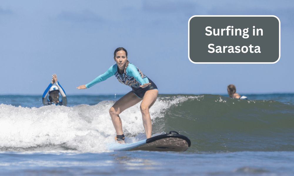 Surfing in Sarasota